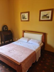 a bedroom with a large bed in a room at Carangola Guesthouse in Petrópolis +45 photos