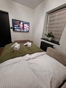 Katil atau katil-katil dalam bilik di Apartament z Balią