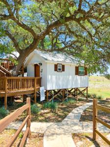 una casa bianca con un albero e una recinzione di The Alexander at Creek Road a Dripping Springs
