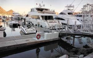 a group of boats docked in a harbor at Harbour Junior suites in Cabo San Lucas