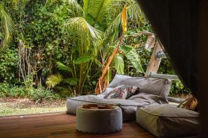 Zahrada ubytování Daintree Beach Resort