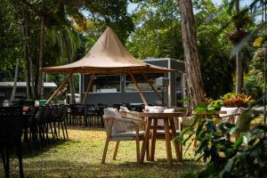 Zahrada ubytování Daintree Beach Resort