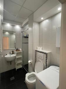 a bathroom with a toilet and a sink at Dreamscape City Center in Belgrade