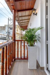 Balkón nebo terasa v ubytování De la cruz Studio Apartments