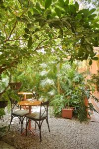 Zahrada ubytování Macarena Hostel