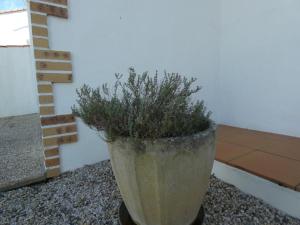 Fotografia z galérie ubytovania Maison familiale 94m² à 1,2km des plages - Jardin clos, 3 chambres, terrasse équipée - FR-1-540-255 v destinácii Notre-Dame-de-Monts