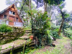Κήπος έξω από το Cabañita del bosque de la cumbre de san Bartolo Milpas Altas
