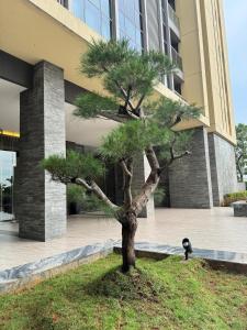 Zahrada ubytování BRANZ BSD Prime Location - BSD Central Business District & ICE BSD