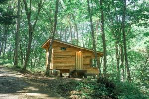 eine kleine Holzhütte inmitten eines Waldes in der Unterkunft ist - Aokinodaira Field in Kawakami
