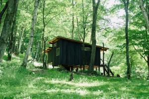 Naturlandschaft in der Nähe des Campingplatzes