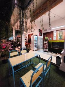 外南梦ROOM Ijen Dormitory & Tours的相册照片