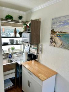 Kuchyň nebo kuchyňský kout v ubytování Monet Studio