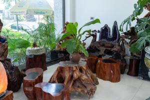 a group of plants sitting on top of a tree stump at TamCoc Golden Shine Homestay in Ninh Binh