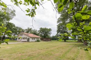 Κήπος έξω από το Petite villa cassora