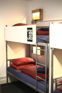 Palanda nebo palandy na pokoji v ubytování Central Backpackers