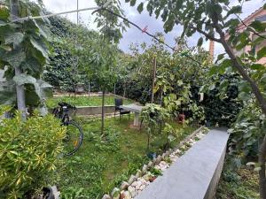 Κήπος έξω από το Guest House Pogradec 1 +1 φωτογραφίες