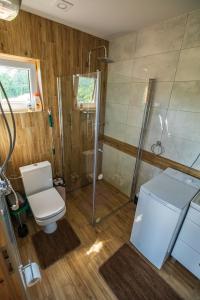 a bathroom with a shower and a toilet in it at Domki u Niedźwiadka in Wola Sękowa