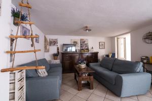 a living room with two blue couches and a television at Sa Dommo de Luigi in Orosei