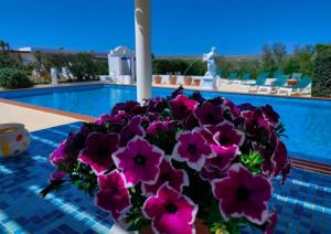 a vase of purple flowers on a table next to a swimming pool at Oasi Di Casablanca in Lampedusa