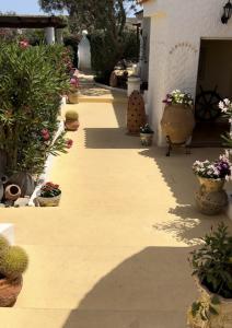 a patio with potted plants and flowers in a house at Oasi Di Casablanca in Lampedusa