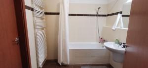 Chevalier Apartman 1066 Budapest, 8 Lovag utca kép - 3