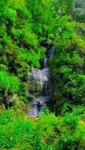 Afbeelding uit fotogalerij van Apple valley homestay in Sainj +2 foto's