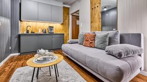 Kuchnia lub aneks kuchenny w obiekcie Apartament SPA 56 Resort Kozubnik blisko Szczyrk - 5D Apartamenty