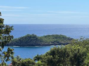 een eiland in het midden van een waterlichaam bij Villa 4 étoiles Le Roc de Malendure in Bouillante