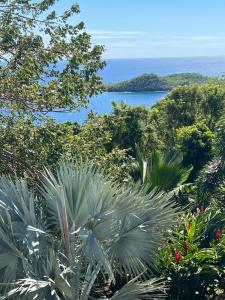 een uitzicht op de oceaan vanuit een bos met palmbomen bij Villa 4 étoiles Le Roc de Malendure in Bouillante