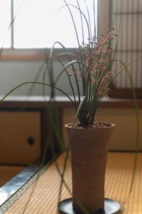 Foto sihtkohas Tamba-sasayama asuva majutusasutuse 篠山城下町ゲストハウス inosica galeriist