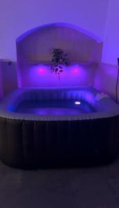 Gallery image of Escapada amarela SPA et détente in Santa Barbara