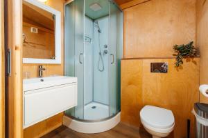 a bathroom with a shower and a toilet and a sink at Aurora Igloo South in Hella +55 photos