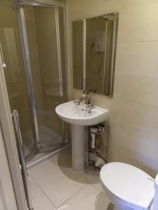 a bathroom with a sink and a shower and a toilet at Pinewood Lodge Guest House in Omagh +25 photos