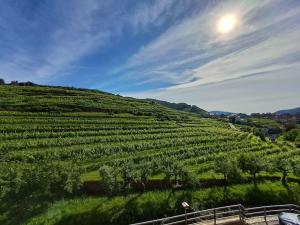 Fotografie z fotogalerie ubytování Wohnung in der Wachau v destinaci Weissenkirchen in der Wachau