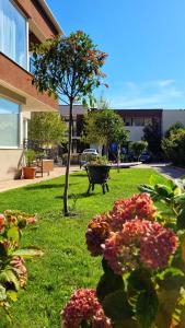 a garden with flowers and a tree in the grass at Ferano Beach Apartments in Nesebar