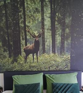 Zvířata v bed and breakfast nebo okolí