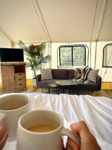 a person holding a cup of coffee in a tent at Entire Glamping Campground, 8 Luxury Safari Tents in Cadiz