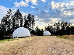 two domes in a field with trees in the background at The Prince Dome at Nine Pines in Cadiz