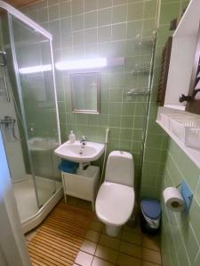 a bathroom with a toilet and a sink and a shower at Villa Nisula - yläkerran asunto in Teuva +51 photos