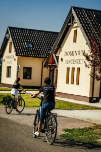 Jazda na bicykli v okolí ubytovania Dominium Pincészet és Panzió