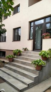 BordeiuVila Aurora的楼梯上种植了盆栽植物的建筑