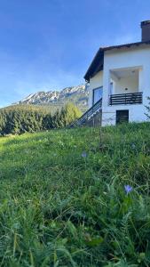 una casa in un prato con montagne sullo sfondo di Villa & Spa Plaiul Foii - Sierra Blanca a Zărneşti