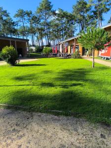 a large green yard with a tree and a building at MH 201 AGREABLE et tout ÉQUIPÉ 2CH dont suite parentale et 2sdb avec vue sur foret dans camping 4 étoiles in Saint-Julien-en-Born