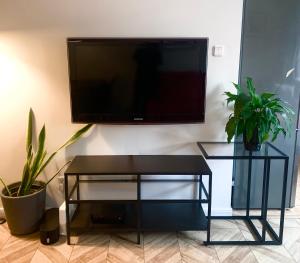 a flat screen tv on a wall with two plants at Garone in Gdańsk