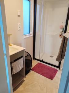 ein Badezimmer mit Dusche, Waschbecken und Spiegel in der Unterkunft Cottage Les 2 Chardon in La Teste-de-Buch