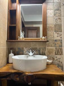 a bathroom with a sink and a mirror at Кондеви къщи in Kovačevica +108 photos