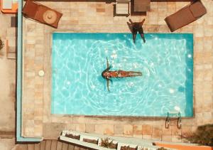 deux animaux nageant dans une piscine dans l'établissement Inn House Santa Teresa, à Rio de Janeiro