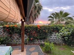 Zahrada ubytování bungalow leu gadiamb