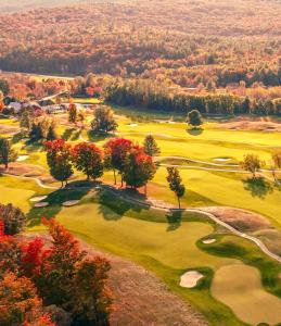 an aerial view of a golf course at Four Season Ski, Lake, And Golf Chalet on Lake Rescue in Tyson