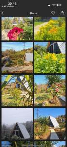 Fotografie z fotogalerie ubytování Paradise cottage v destinaci Tsikhisdziri